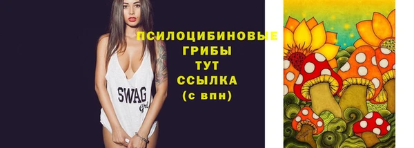 тгк Алексин