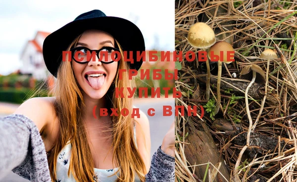 PSILOCYBIN Алексеевка